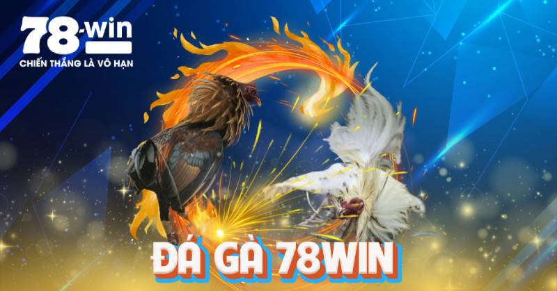 78WIN 🎖️ 78WIN.COM - Link Trang Chủ Tặng Code 78K 78 WIN Uy Tín 202 Da Ga 78win – Ca Cuoc Dinh Cao Giua Truong Ga So Hoa